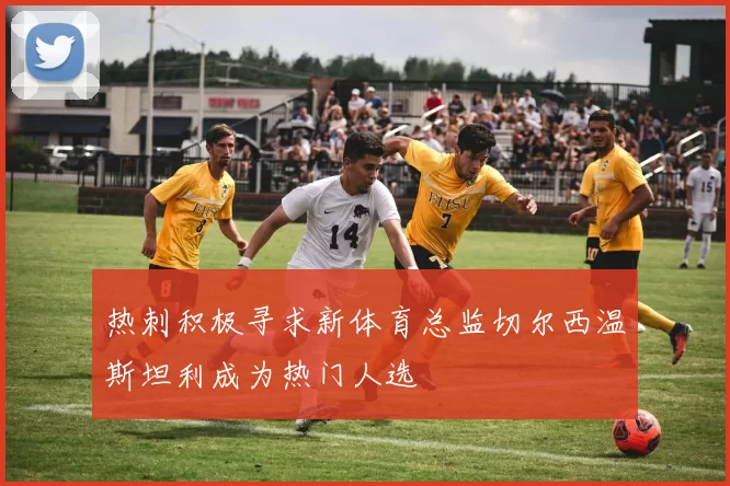 热刺积极寻求新体育总监切尔西温斯坦利成为热门人选